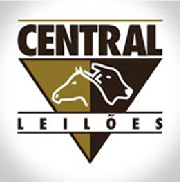 central-leiloes